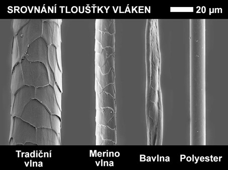 Mikroskopické srovnání vláken tradiční vlny, merino, bavlny a polyesteru